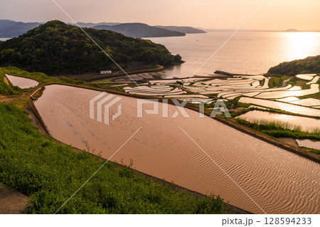 《長崎県》夕暮れの土谷棚田・日本の原風景 《長崎県》夕暮れの土谷棚田・日本の原風景 128594233