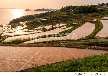 《長崎県》夕暮れの土谷棚田・日本の原風景 《長崎県》夕暮れの土谷棚田・日本の原風景 128594234