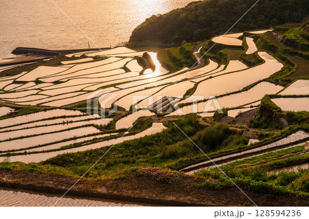 《長崎県》夕暮れの土谷棚田・日本の原風景 128594236