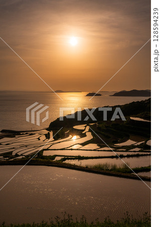 《長崎県》夕暮れの土谷棚田・日本の原風景 128594239