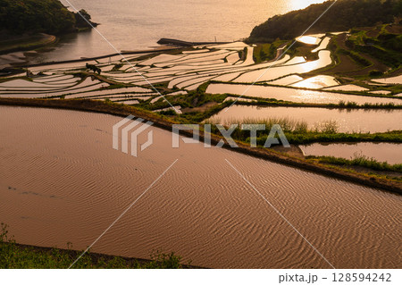 《長崎県》夕暮れの土谷棚田・日本の原風景 128594242