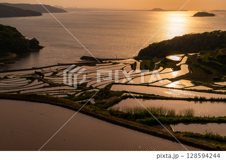 《長崎県》夕暮れの土谷棚田・日本の原風景 128594244