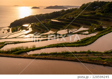 《長崎県》夕暮れの土谷棚田・日本の原風景 128594245