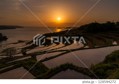 《長崎県》夕暮れの土谷棚田・日本の原風景 128594272