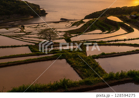 《長崎県》夕暮れの土谷棚田・日本の原風景 128594275