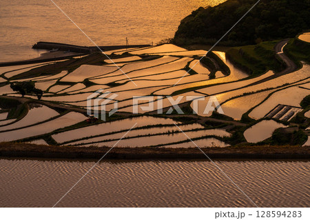 《長崎県》夕暮れの土谷棚田・日本の原風景 《長崎県》夕暮れの土谷棚田・日本の原風景 128594283