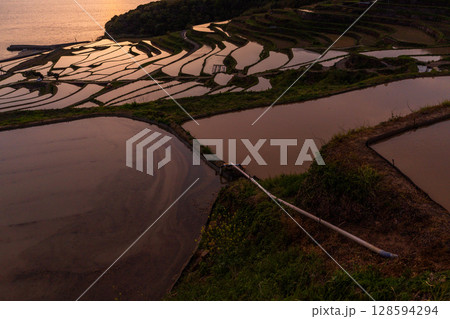 《長崎県》夕暮れの土谷棚田・日本の原風景 128594294