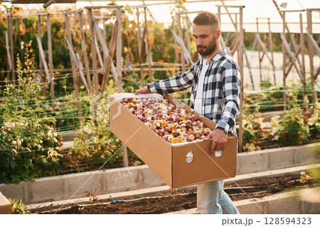Wooden box with dried flowers. Young gardener is in the greenhouse 128594323