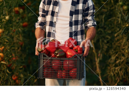 Close up view of man in garden that is collecting pepper 128594340