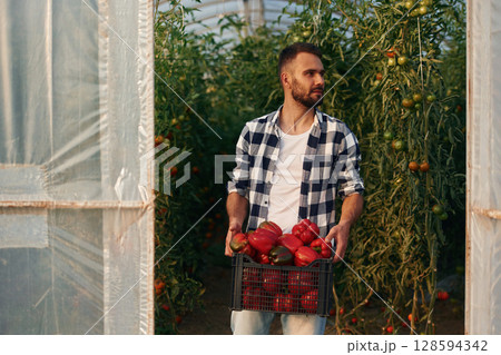 Holding peppers. Beautiful young man is in the garden 128594342