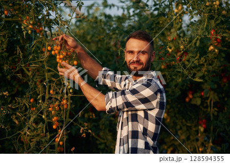 Little yellow tomatoes. Beautiful young man is in the garden 128594355