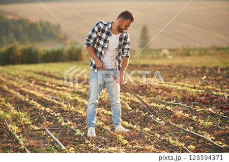 Holding the hoe. Man is on the agricultural field, conception of work and harvest Holding the hoe. Man is on the agricultural field, conception of work and harvest 128594371