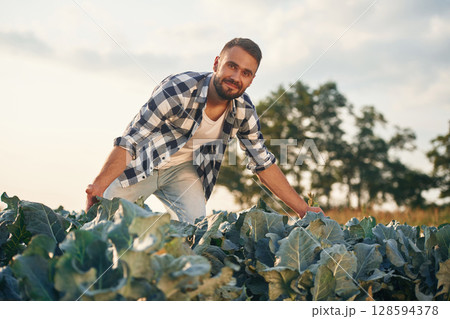 Happy, standing and showing cabbage. Man is on the agricultural field, conception of work and harvest Happy, standing and showing cabbage. Man is on the agricultural field, conception of work and harvest 128594378