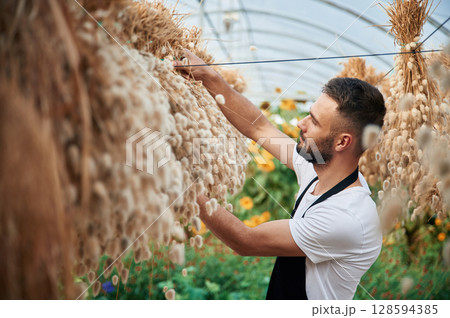 Looking at dried plants that are hanging. Young gardener is in the greenhouse Looking at dried plants that are hanging. Young gardener is in the greenhouse 128594385