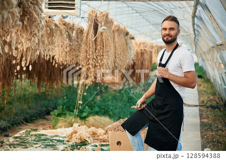 Looking at dried plants that are hanging. Young gardener is in the greenhouse Looking at dried plants that are hanging. Young gardener is in the greenhouse 128594388