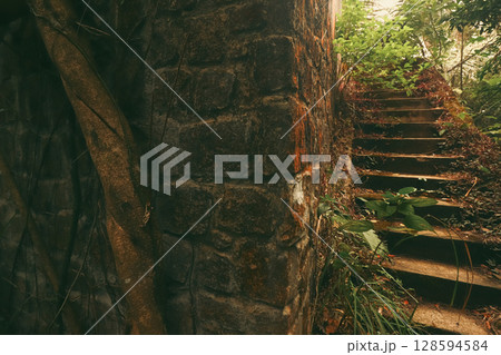 Overgrown stairs by an old stone wall covered in lush greenery in the abandoned villa Damnak Sla Khmao or Black Palace in Bokor Hill, Kampot, Cambodia 128594584