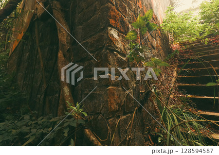 An old staircase bordered by a stone wall, enveloped in greenery, reflecting nature's encroachment of abandoned Damnak Sla Khmao or Black Palace in Bokor Hill, Kampot, Cambodia An old staircase bordered by a stone wall, enveloped in greenery, reflecting nature's encroachment of abandoned Damnak Sla Khmao or Black Palace in Bokor Hill, Kampot, Cambodia 128594587