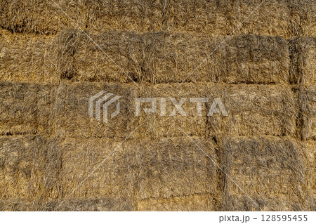 rectangular stacks of straw for storage ,stacked one on one stack of wheat straw after grain harvest 128595455