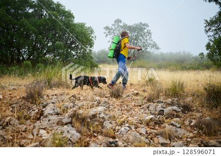 Hiker Exploring Rocky Terrain With Dog Amid Lush Nature During Foggy Weather 128596071
