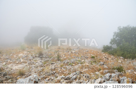 Rocky Landscape Enveloped in Dense Mist During a Calm Morning Rocky Landscape Enveloped in Dense Mist During a Calm Morning 128596096