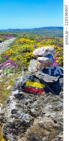 Hiking trail marker on a hill in northern Portugal. Wildflowers with wind turbines - ecotourism, renewable energy and nature adventure trail in Portugal 128596807