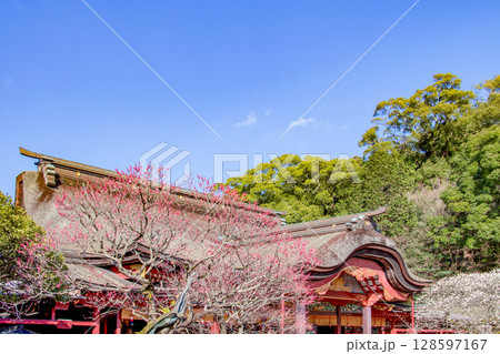 太宰府天満宮 128597167