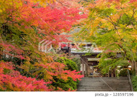 大興善寺の紅葉 128597196