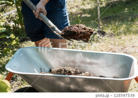 Gardener Digging Soil with Shovel, Loading Wheelbarrow, Outdoor Work Scene, Brown Earth, Green Grass, Natural Light, Rural Landscape. 128597539
