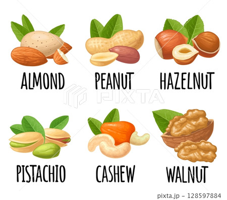 Set hazelnut, peanut, almond, cashew, pistachio, walnut. Vector realistic icon nut 128597884