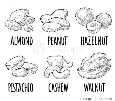 Set hazelnut, peanut, almond, cashew, pistachio, walnut. Vintage vector engraving 128597886