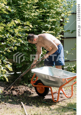 Bare-Chested Man Gardening with Wheelbarrow in Sunny Backyard Outdoor Chore, Lawn Care, Summer Scene, Green Foliage, Rustic Fence. Bare-Chested Man Gardening with Wheelbarrow in Sunny Backyard Outdoor Chore, Lawn Care, Summer Scene, Green Foliage, Rustic Fence. 128598094