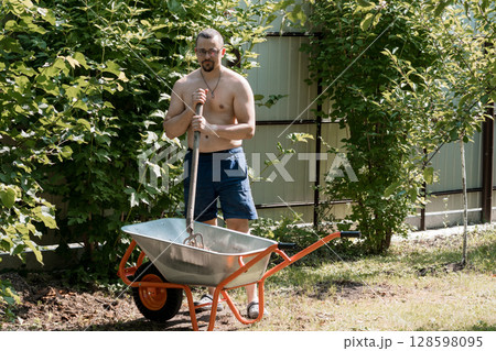 Shirtless Man Gardening with Wheelbarrow Outdoors, Green Bushes, Sunny Day, Natural Setting, Backyard, Orange Handle, Agricultural Work, Summer. Shirtless Man Gardening with Wheelbarrow Outdoors, Green Bushes, Sunny Day, Natural Setting, Backyard, Orange Handle, Agricultural Work, Summer. 128598095