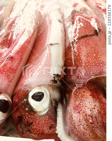 新鮮なイカが並ぶ魚屋 新鮮なイカが並ぶ魚屋 128598178