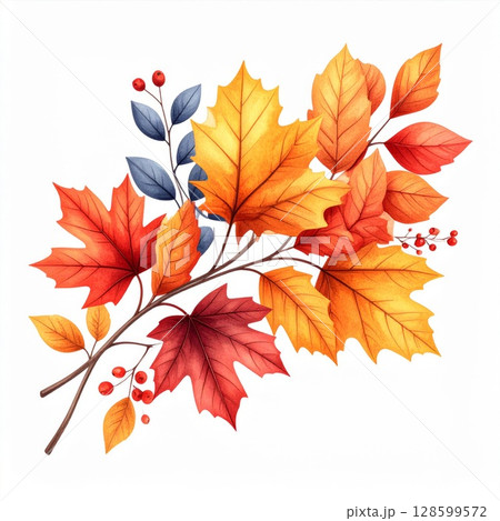 Autumn Watercolor Branch with Red Orange Yellow Maple Leaves Autumn Watercolor Branch with Red Orange Yellow Maple Leaves 128599572