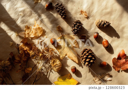 Warm autumn composition featuring dry leaves, acorns, pinecones, and botanical textures on paper with soft sunlight and natural shadows Warm autumn composition featuring dry leaves, acorns, pinecones, and botanical textures on paper with soft sunlight and natural shadows 128600323