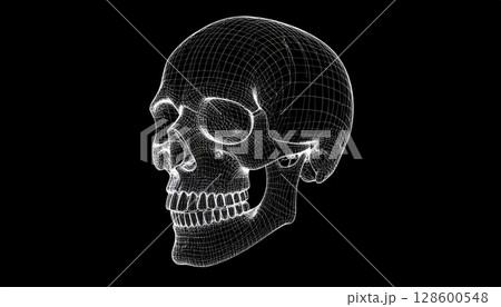 White Dotted Skull on Black Background 128600548