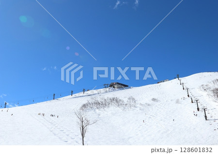 八方尾根スキー場兎平コブ急斜面　モーグル 128601832