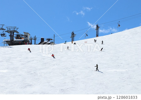 八方尾根スキー場兎平コブ急斜面　モーグル 128601833