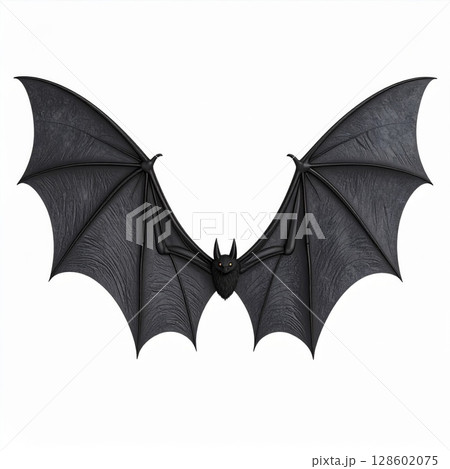 Black Bat with Large Wings on White Background 128602075