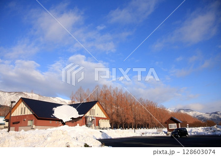 滋賀県マキノ　雪のメタセコイア並木 128603074