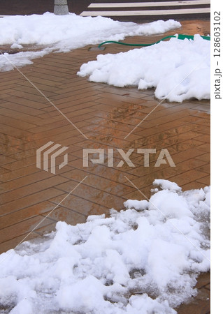 滋賀県マキノ　雪のメタセコイア並木 128603102