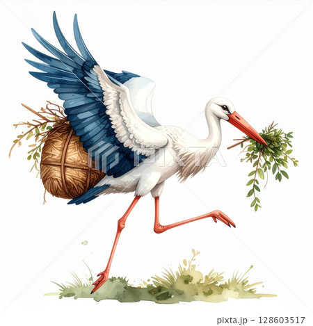 White Stork Carrying Nest and Branches 128603517