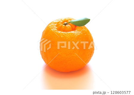 ポンカン（1個） 128603577