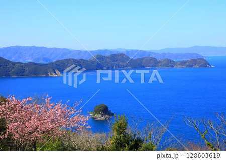 河津桜咲く四浦半島（津久見市） 128603619