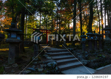 秋の古都奈良　紅葉の奈良公園　壺神神社 128604197