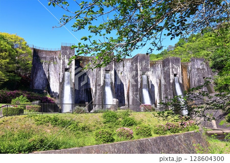 【香川県】ツツジ咲く春の豊稔池ダム(豊稔池堰堤)国最初の石積式多連マルチプルアーチダム 【香川県】ツツジ咲く春の豊稔池ダム(豊稔池堰堤)国最初の石積式多連マルチプルアーチダム 128604300