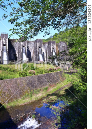 【香川県】ツツジ咲く春の豊稔池ダム（豊稔池堰堤）国最初の石積式多連マルチプルアーチダム 128604301