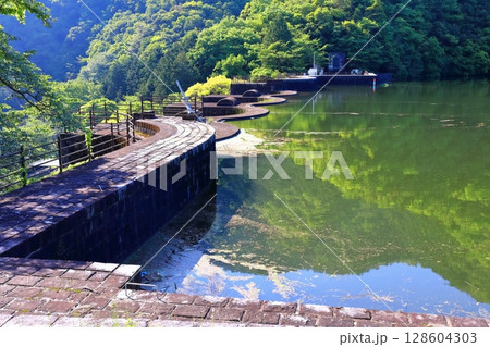 【香川県】ツツジ咲く春の豊稔池ダム（豊稔池堰堤）国最初の石積式多連マルチプルアーチダム 128604303