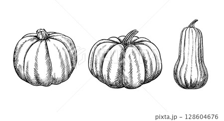 A set of pumpkins. Vector graphics depicting the autumn season. Black and white hand-drawn illustration. On a white background. Great for stickers, banners, posters and packaging, postcards, labels. 128604676