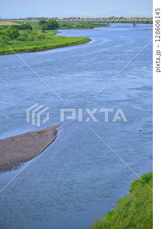 利根川　昭和橋から下流の眺め　初夏の風景　 128606145